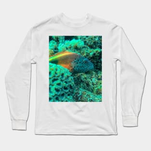 Freckled hawkfish Long Sleeve T-Shirt